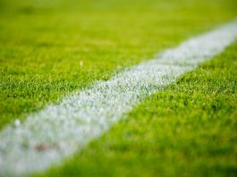 football-stock