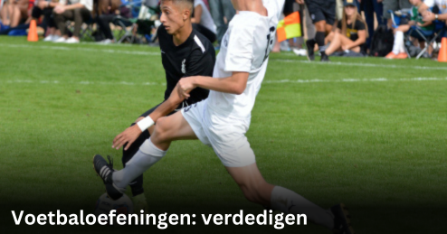 Categorie verdedigen
