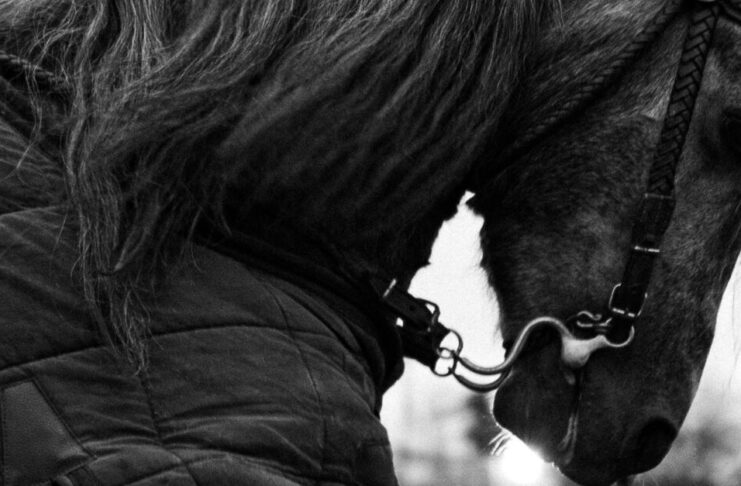 Welke spelers gaan schijnen op WK 2026 | Doordebenen